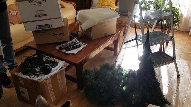 ФРАНЦИЯ VLOG! У СВЕКРОВИ УКРАШАЕМ ДОМ к НГ! ?СЕМЕЙНЫЙ ОБЕД! ?! НЕПРЕДВИДЕННЫЙ ШОППИНГ! смотреть онлайн