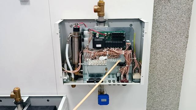 Детальный разбор парогенератора для хамама Tylo Steam Home