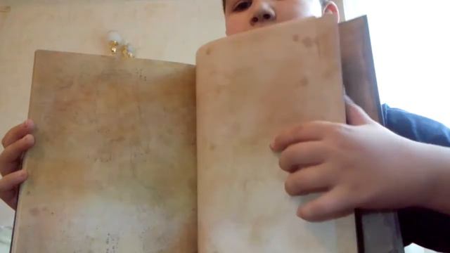 Книга Гравити Фолз📕 смотреть онлайн