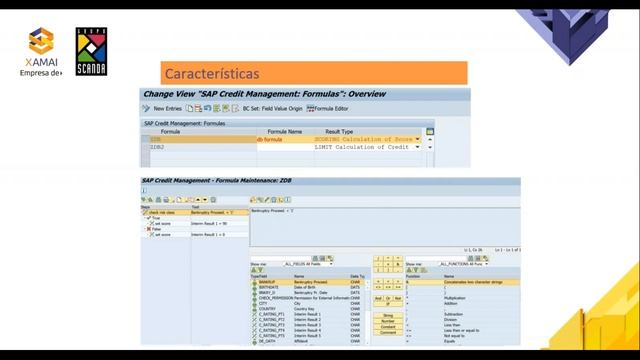 Webinar - Gestión De Crédito En SAP S/4 HANA