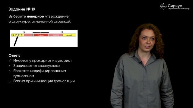 Разбор заданий пригласительного этапа ВсОШ 2023 по биологии, 10 класс смотреть онлайн