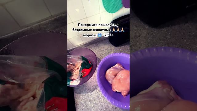 #всемдобра #метис #собаки #рекомендации #французскийбульдог #чихуахуа #любовь #спасение смотреть онлайн