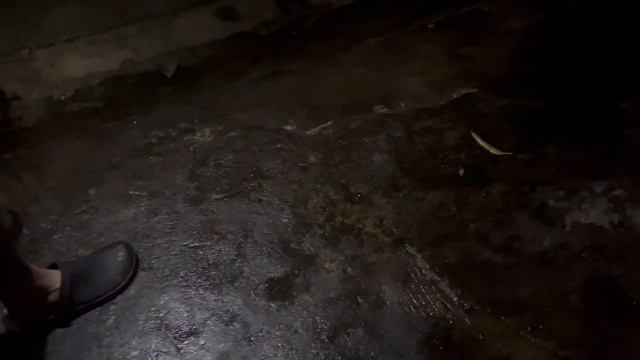 Engine SWAP! Build series. Nissan Sentra B14 смотреть онлайн