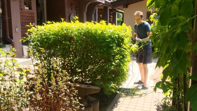 Топиар - стрижка садовых кустарников в форме простых геометрических фигур смотреть онлайн