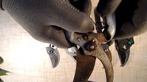 Ремонт и обзор моих садовых секаторов Дачный мастер на все руки