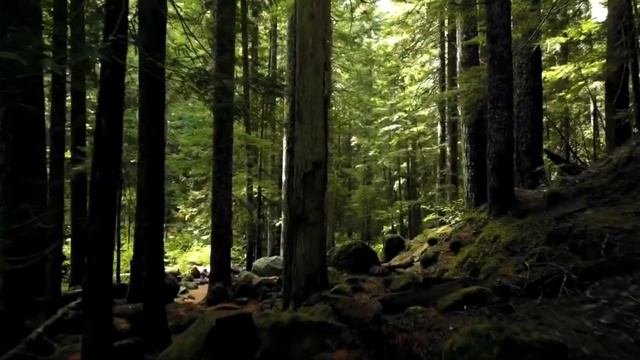 Гарри Поттер и Узник Азкабана смотреть онлайн