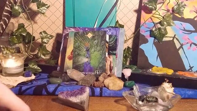 ?? Oracle/Tarot messages for Your day and week ?#starseed смотреть онлайн