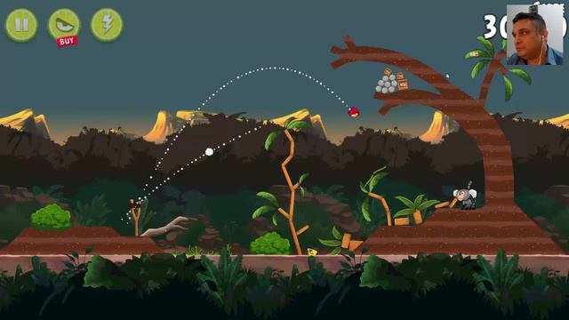 angrybird rio Jungle Escape gameplay смотреть онлайн