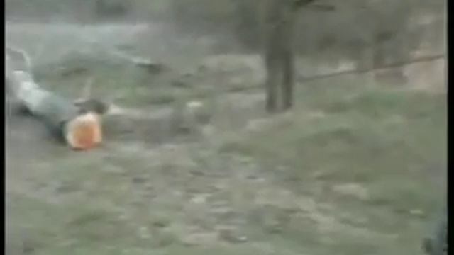 Самодельный трактор ТАРАНТУЛ. смотреть онлайн