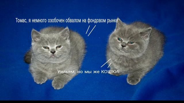 Томас и Уильям Мем смотреть онлайн