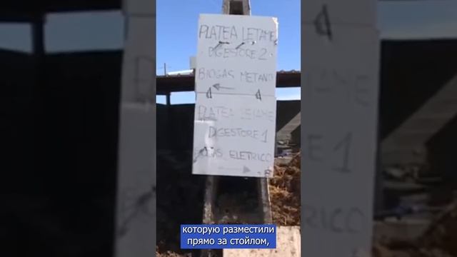 На ферме на севере Италии производят топливо из навоза, которые выделяют 60 коров. смотреть онлайн