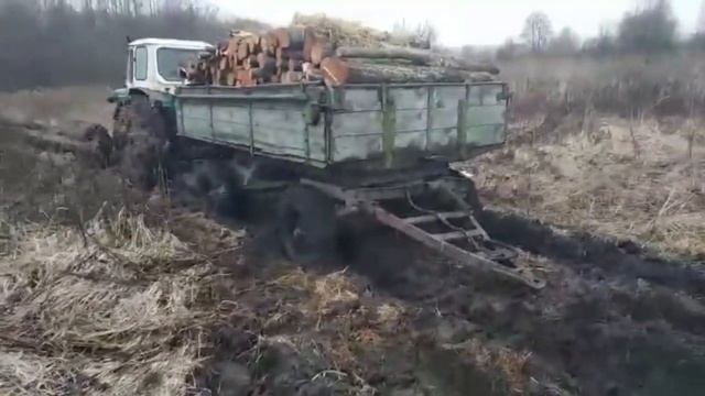 ЮМЗ Полный привод! ЮМЗ 4х4! Выезд в лес смотреть онлайн