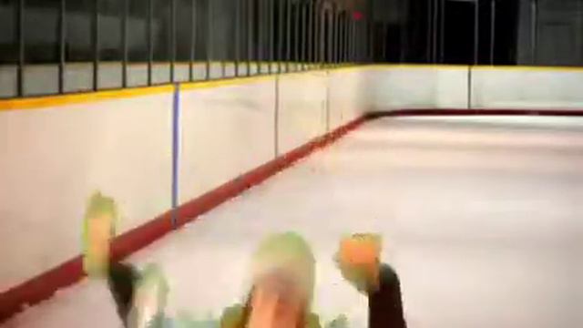 Milwaukee Admirals Fan Video 