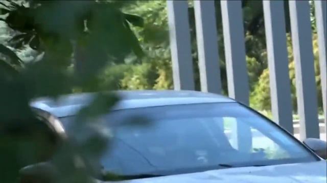 Сепаратизм. Separatism.