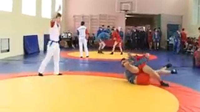 на областном чемпионате по самбо смотреть онлайн