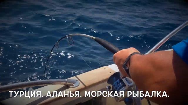 Рыбалка в Аланье-это круто! смотреть онлайн