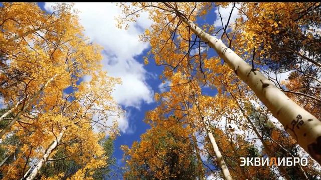 Бесконечный потенциал / Сказки о силе для взрослых смотреть онлайн