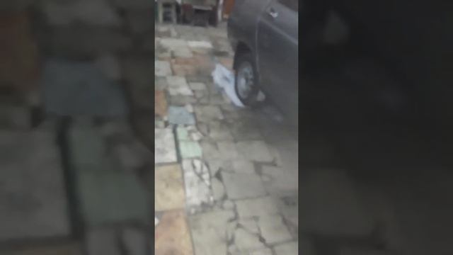 Ваз 2111 покраска заводской краской балончиком и карты в помощь смотреть онлайн