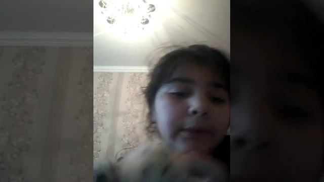 Какую пищу надо кушать хомякам смотреть онлайн