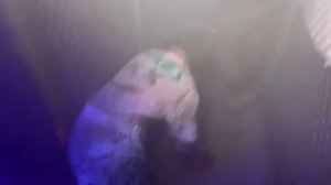 Speed Goes To The SCARIEST Haunted House In America..