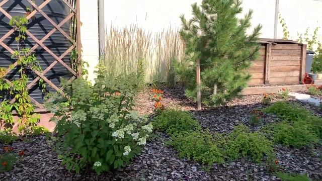 Авторский надзор за садом смотреть онлайн