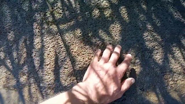 ЛУЧШАЯ НАСАДКА ДЛЯ РЕЧНОЙ РЫБЫ.РЕЧНОЙ ЧЕРВЬ #насадки #речнойчервь #лиманскийчервь смотреть онлайн