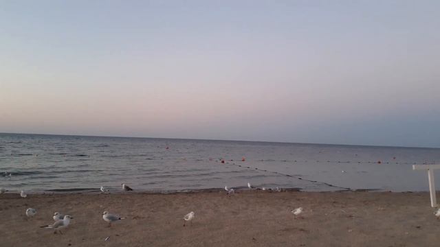 Как получить статую Фортуны целой? смотреть онлайн