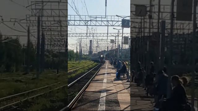 Электропоезда ЭД4М-0455,ЭД4М-0503"РЭКС(Регион-Экспресс)-ЦППК-Фирменный","ЦППК".* смотреть онлайн