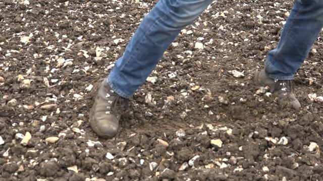 XP Deus tips understanding feedback - XP Deus Tutorials смотреть онлайн