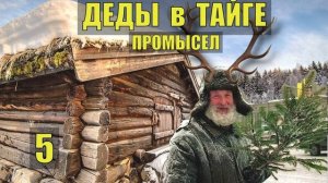 ПАНТЫ МАРАЛА - РОГА ОЛЕНЯ  ПРОМЫСЕЛ СЛУЧАЙ в ТАЙГЕ СУДЬБА ОХОТА  ЛЕСНАЯ ИЗБА ОТШЕЛЬНИК СЕРИАЛ 5