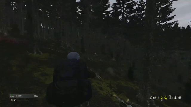 Мишки Гамми