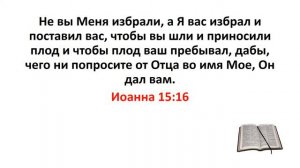 Библия, Новый Завет. Иоанна 15:16