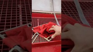 JOHN DEERE + сеялка HORSCH PRONTO 6 калибровка сеялки