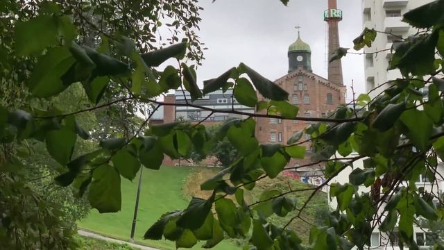 Гастрономические Секреты от Профессионалов