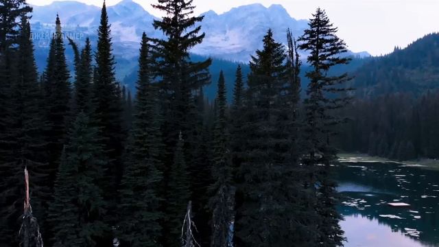 Куда и как исчез этот тип Загадочное исчезновение Marshal Iwaasa смотреть онлайн