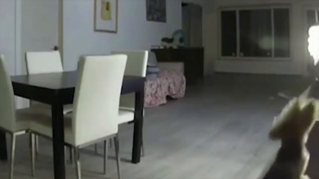 Вот Что Может Снять Скрытая Камера Когда Ты Спишь смотреть онлайн