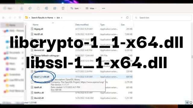 [FIXED] Conda SSL Error: OpenSSL appears to be unavailable on this machine. смотреть онлайн