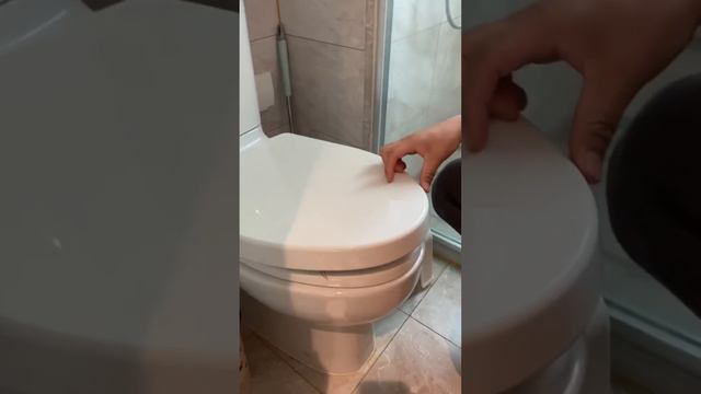 峻宁峻宁：兄弟们，谁能告诉我，我该拜哪路神仙？#搞笑#搞笑视频 смотреть онлайн