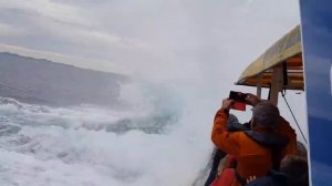 Прыжок кита перед прогулочным судном