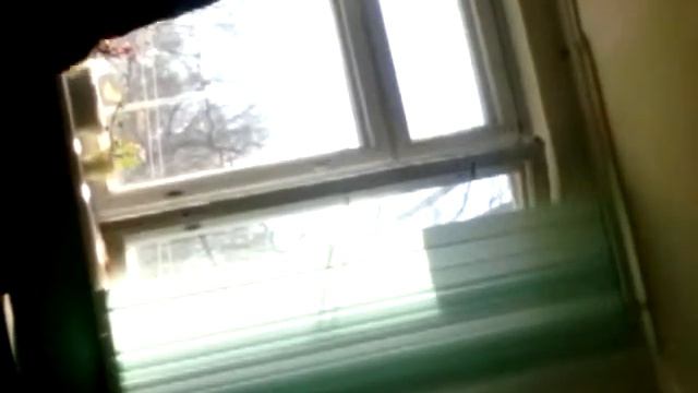 Мой далбонутый однлкласник . смотреть онлайн