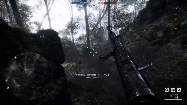 Урожай грибов в лесу смотреть онлайн