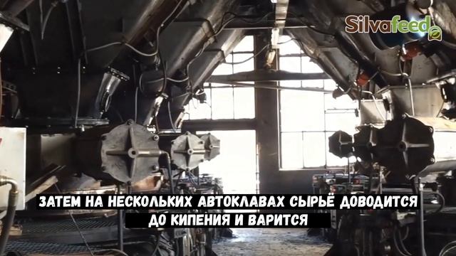 ТАНИНЫ - ПРИМЕНЕНИЕ В ЖИВОТНОВОДСТВЕ И ПТИЦЕВОДСТВЕ. смотреть онлайн