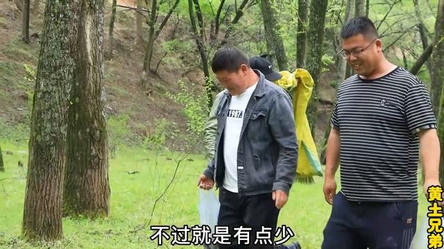 兄弟三人上山采木耳蘑菇和地软，个自拿手菜三大盘，炸蘑菇鸡蛋炒木耳各个香的很！【黄土兄弟】 смотреть онлайн