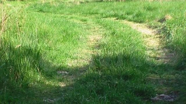 Продажа участка 10 сот. (ИЖС) в Брянской области. Собственник. 8 (920) 846-08-79 Марина смотреть онлайн