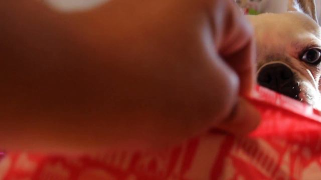 My First Video- Neon Lokai And May 2016 Ipsy Unboxing| PetuniaPink