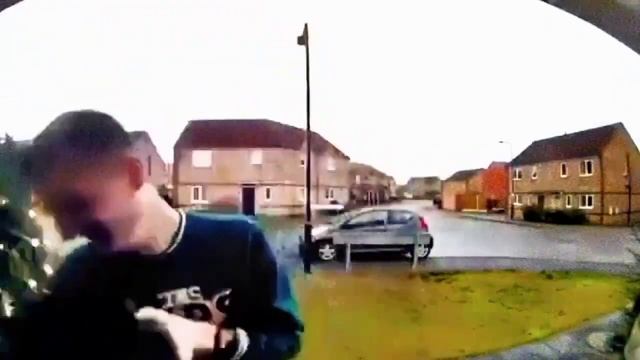 Кот мяукает на камеру на разную скорость смотреть онлайн