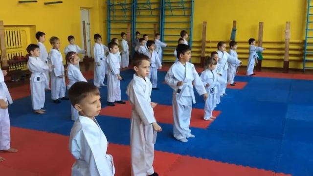 Новички каратисты! смотреть онлайн