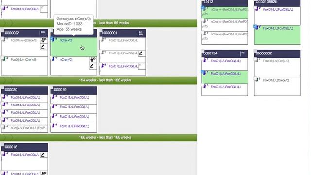 MouseHouse Help: Using The Hood and Multi-Select смотреть онлайн