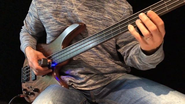 Meditative Fretless Bass Solo with Ebow - 'Walking White Shores' смотреть онлайн