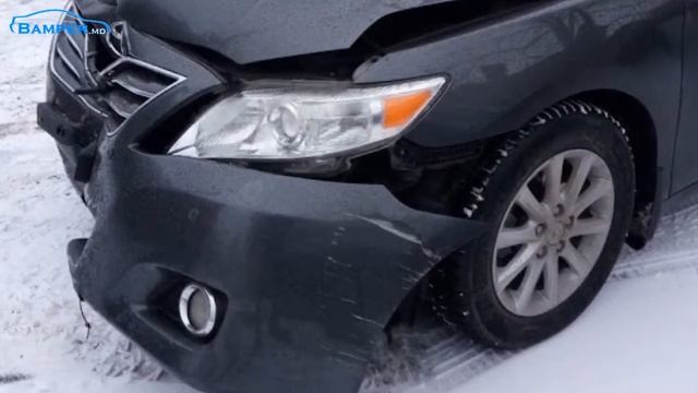 Гастрономический Разгул